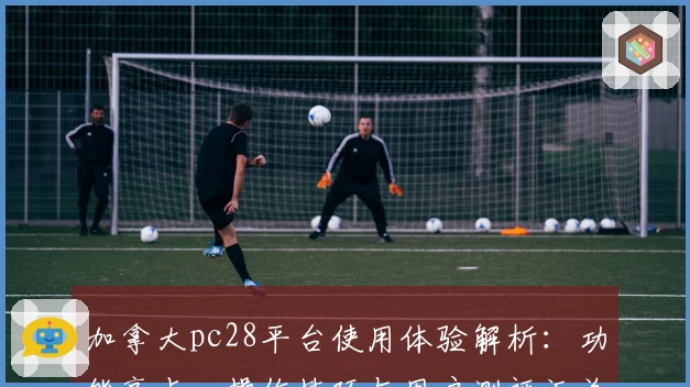 加拿大pc28平台使用体验解析：功能亮点、操作技巧与用户测评汇总