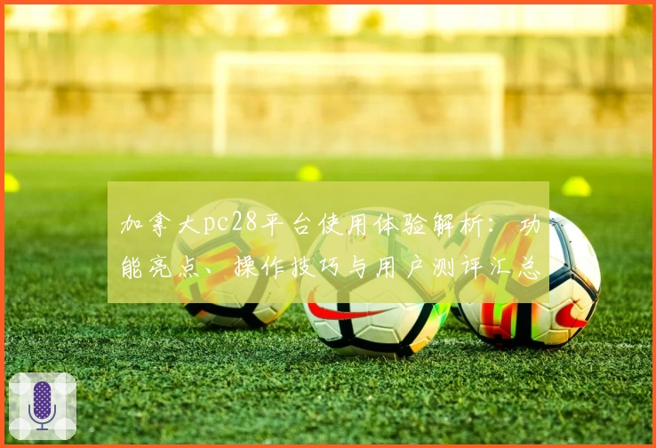 加拿大pc28平台使用体验解析：功能亮点、操作技巧与用户测评汇总