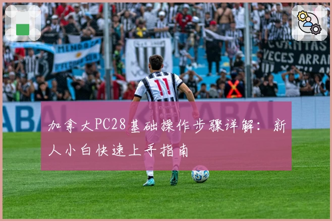 加拿大PC28基础操作步骤详解：新人小白快速上手指南