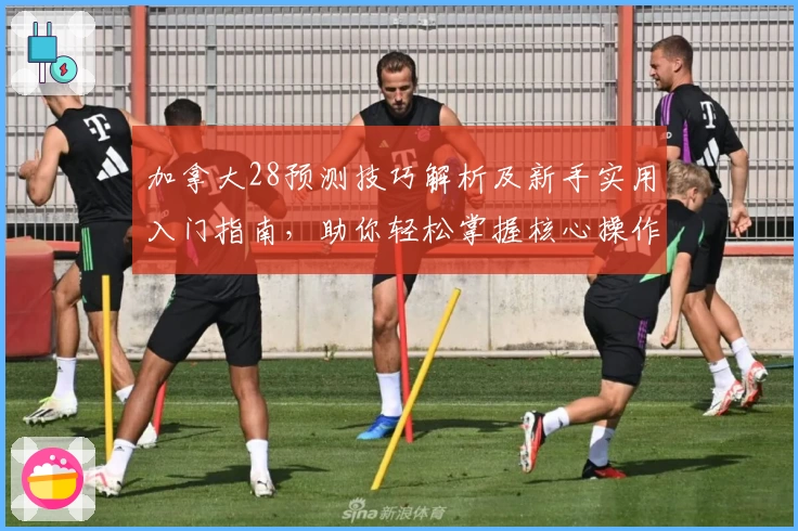 加拿大28预测技巧解析及新手实用入门指南，助你轻松掌握核心操作及使用场景说明