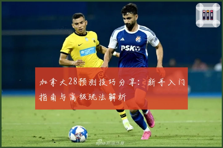 加拿大28预测技巧分享：新手入门指南与高级玩法解析