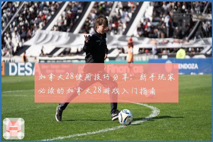 加拿大28使用技巧分享：新手玩家必读的加拿大28游戏入门指南