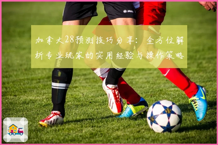 加拿大28预测技巧分享：全方位解析专业玩家的实用经验与操作策略