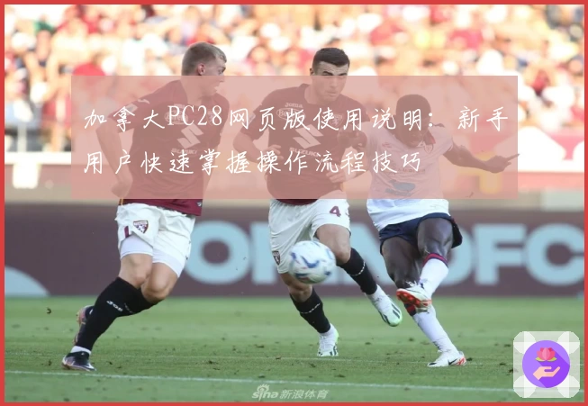 加拿大PC28网页版使用说明：新手用户快速掌握操作流程技巧