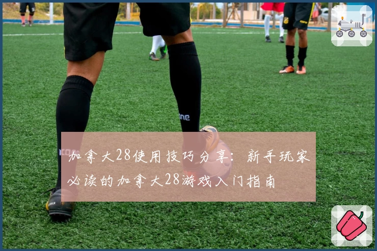 加拿大28使用技巧分享：新手玩家必读的加拿大28游戏入门指南