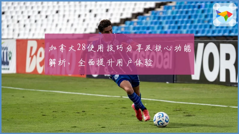 加拿大28使用技巧分享及核心功能解析，全面提升用户体验