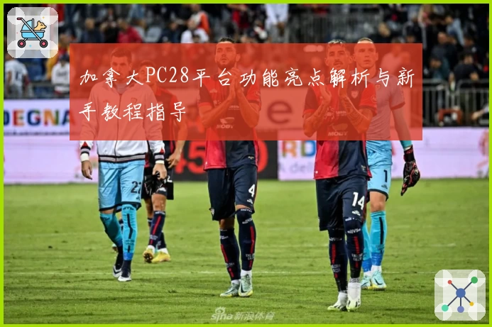 加拿大PC28平台功能亮点解析与新手教程指导