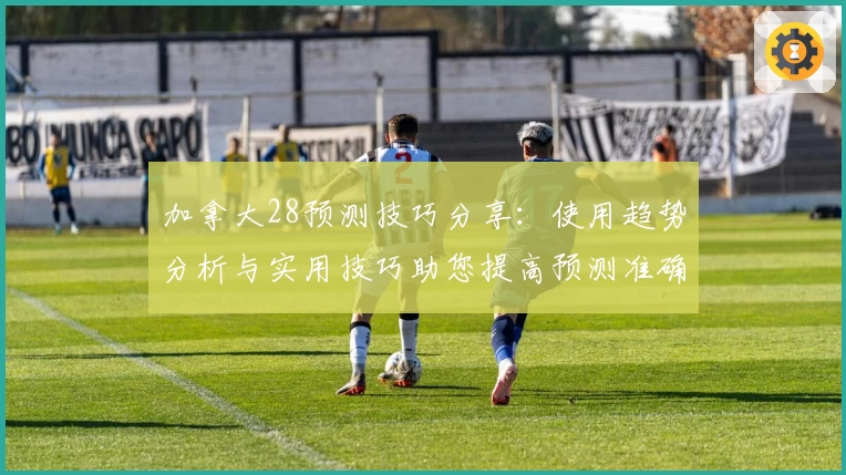 加拿大28预测技巧分享：使用趋势分析与实用技巧助您提高预测准确性